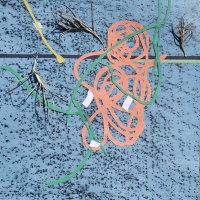 4647 #3, Mixed Media ( (Paper, Rubbing, Graphite,  Colored Pencil,  Plants), 8" x  8", 2022