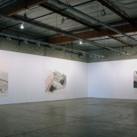 Installation View, "Drawing from Palms", 2005