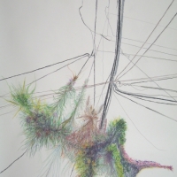 Untitled, Graphite & Colored Pencil, 9' x 6.5', 2005