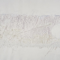 "Palms Nature Study #2", Colored Pencil, 9' x 18', 2006 (Photo Credit: Josh White)