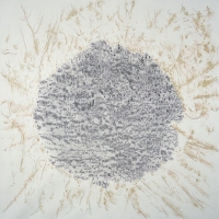 "Palms Nature Study #3", Colored Pencil & Graphite, 9' x 9', 2006 (Photo Credit: Josh White)