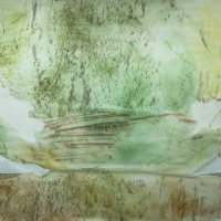 "Palmscape #2", Watercolor, Colored Pencil & Graphite, 6.5' x 9', 2006 (Photo Credit: Gene Ogami)