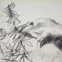 Palms Plein Air #18, Graphite, 18" x 24", 2005