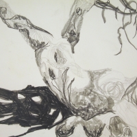 Palms Plein Air #12, Graphite, 18" x 24", 2005